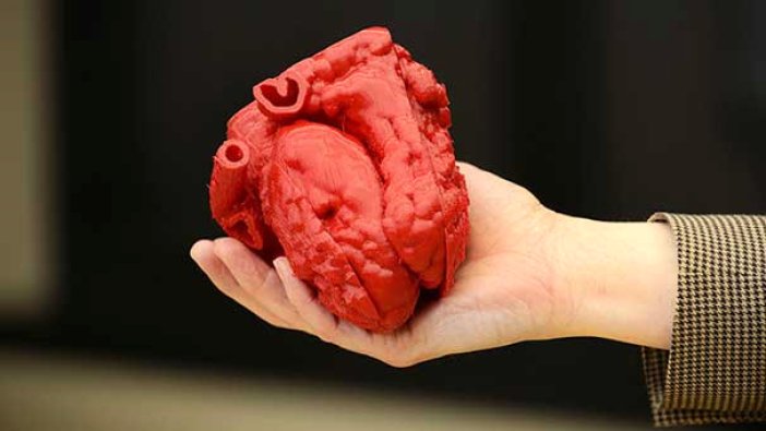 Üç boyutlu yapay kalp dokusu üretildi