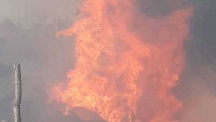 Ankara'da kırsal alanda yangın