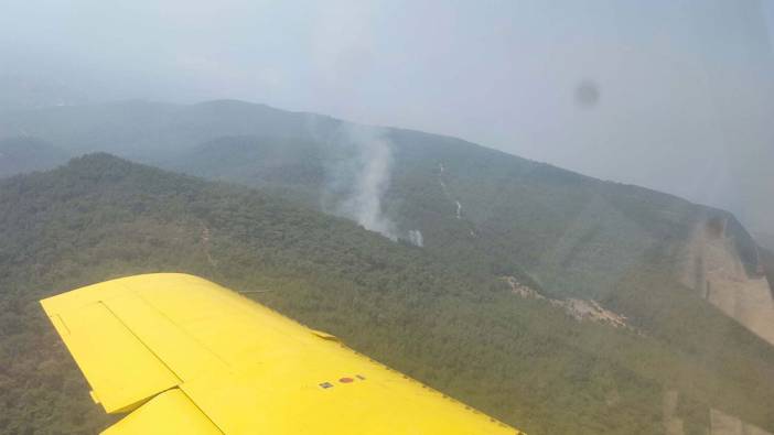 İzmir'de orman yangını: Ekipler seferber oldu