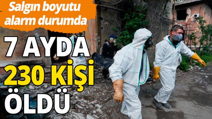 7 ayda 230 kişi öldü