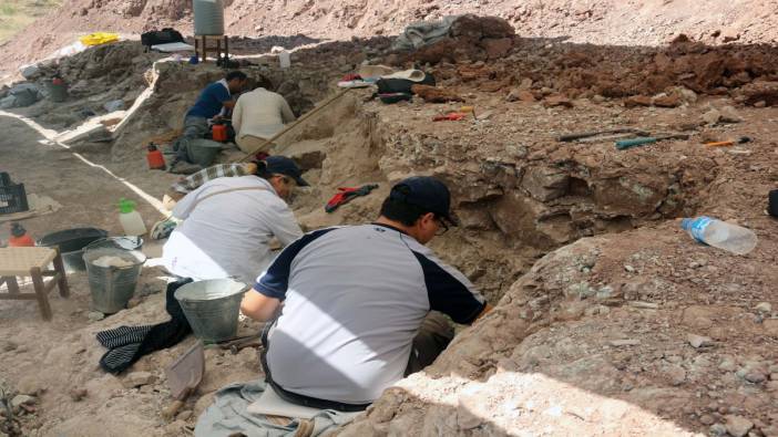 8,5 milyon yıllık fosiller Çankırı'da keşfedildi