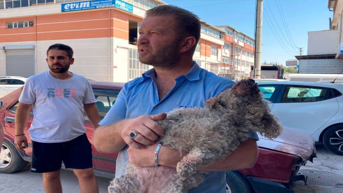 Ankara'da pitbull dehşeti