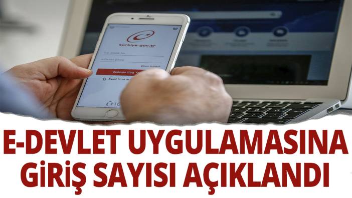 e-Devlet uygulamasına girişi sayısı açıklandı