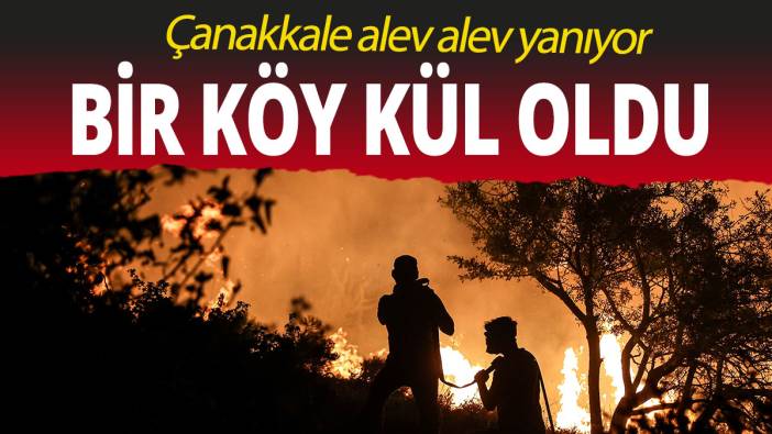 Çanakkale alev alev yanıyor: Bir köy kül oldu