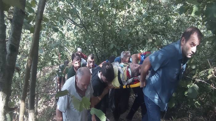 Fındık toplarken 30 metrelik yamaçtan yuvarlandı