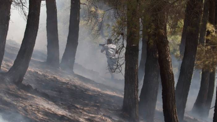 Kahramanmaraş'taki orman yangınında 1 şüpheli gözaltına alındı