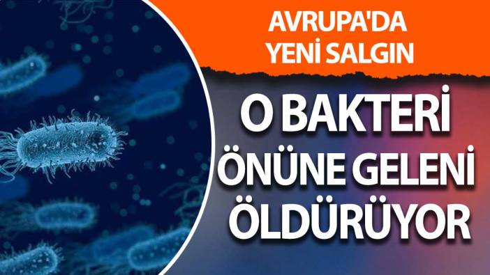 Avrupa'da yeni salgın: O bakteri önüne geleni öldürüyor