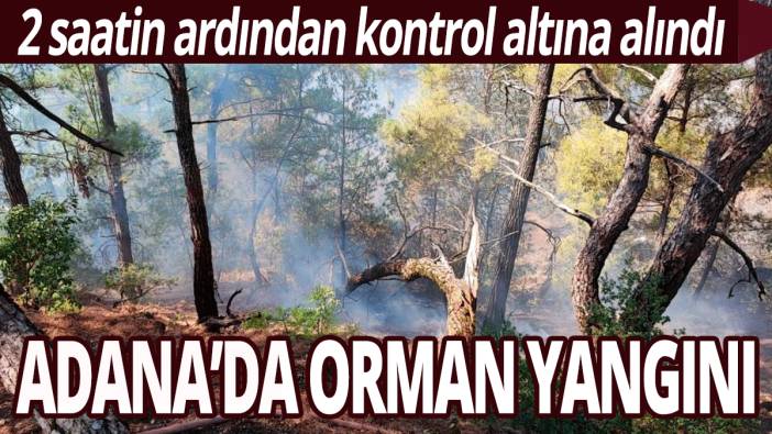 Adana'da orman yangını