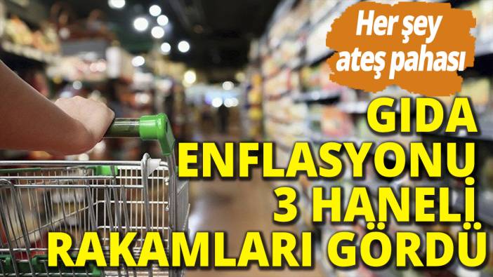 Her şey ateş pahası! Gıda enflasyonu 3 haneli rakamları gördü