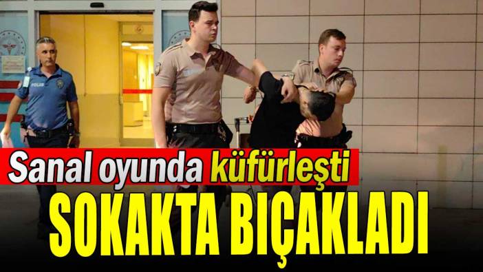 Sanal oyunda küfürleşti, sokakta bıçakladı