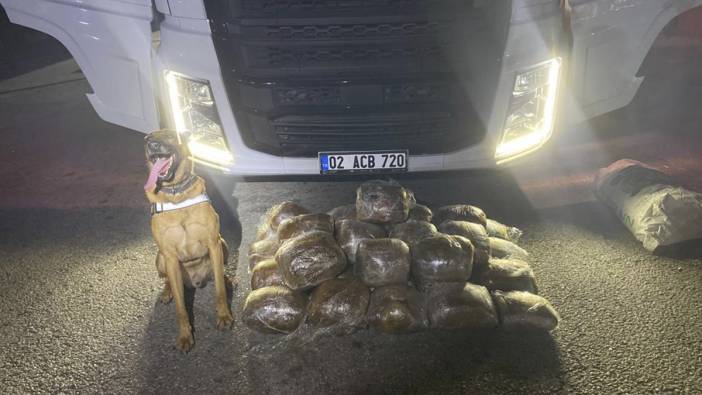 Arpa yüklü tırda 40 kilogram sentetik uyuşturucu ele geçirildi