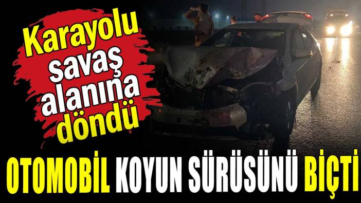 Karayolu savaş alanına döndü: Otomobil koyun sürüsünü biçti