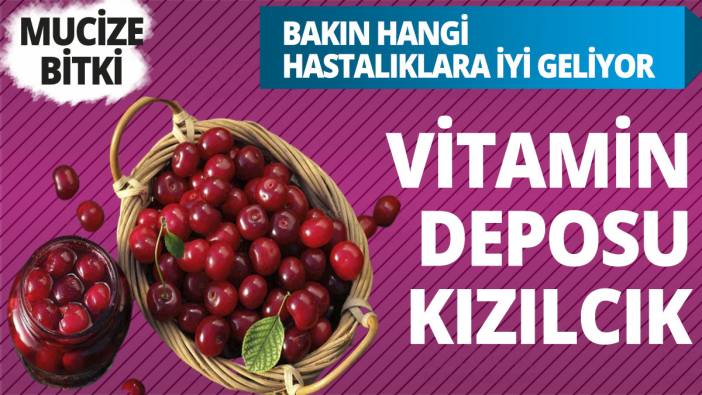 Vitamin deposu kızılcık! Bakın hangi hastalıklara iyi geliyor