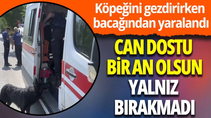 Yaralanan adamı can dostu bir an olsun yalnız bırakmadı