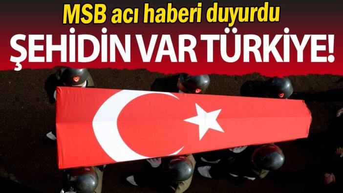 MSB acı haberi duyurdu: Şehidin var Türkiye!