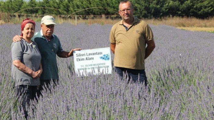 Silivri’de lavanta hasatı hazırlığı