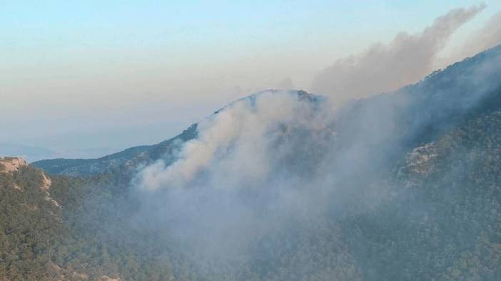 İzmir'de orman yangını: Kısmen kontrol altına alındı