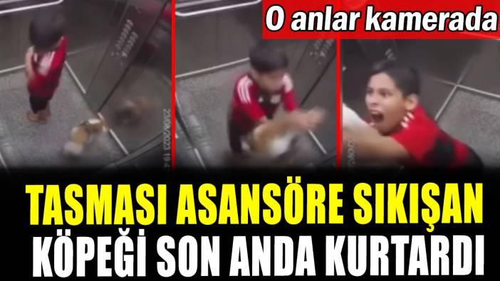Tasması asansöre sıkışan köpeğini son anda kurtardı