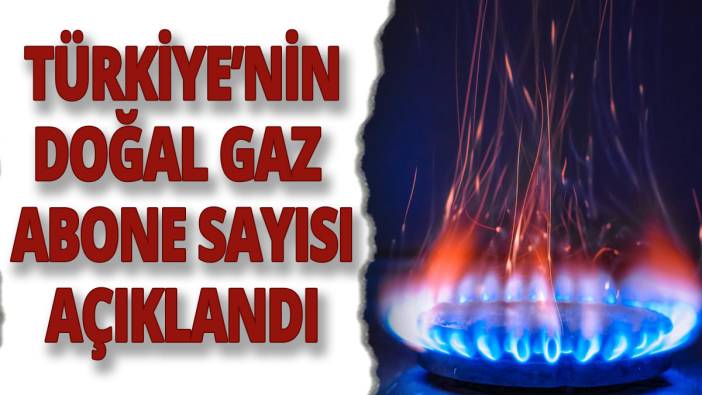 Türkiye'nin doğal gaz abone sayısı açıklandı