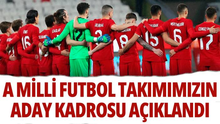 A Milli Futbol Takımı'mızın aday kadrosu açıklandı