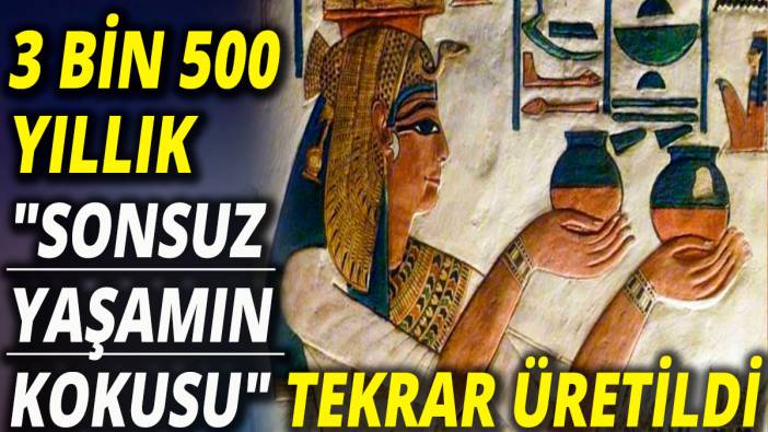 3 bin 500 yıllık "sonsuz yaşamın kokusu" tekrar üretildi