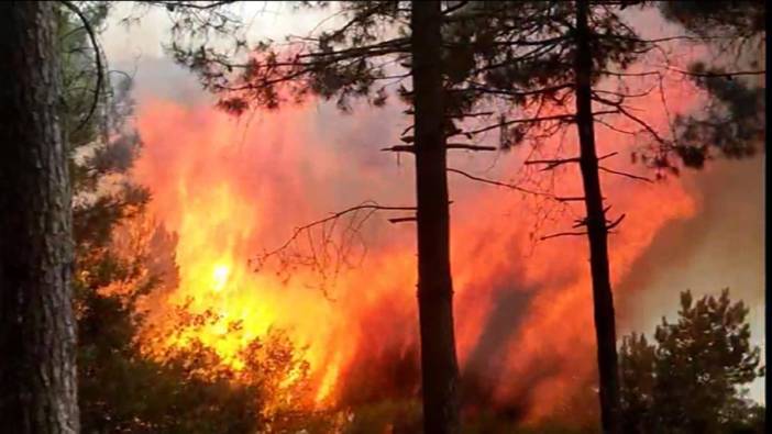 Sultangazi'deki orman yangını böyle görüntülendi