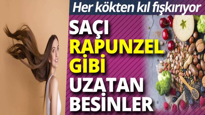 Saçı rapunzel gibi uzatan besinler! Her kökten kıl fışkırtıyor