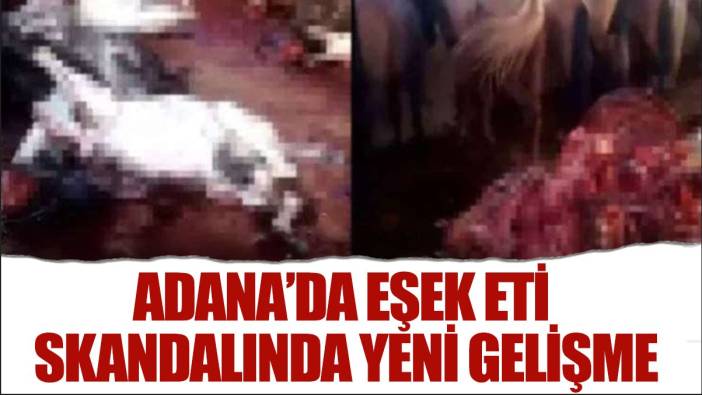 Adana'da eşek eti skandalında yeni gelişme