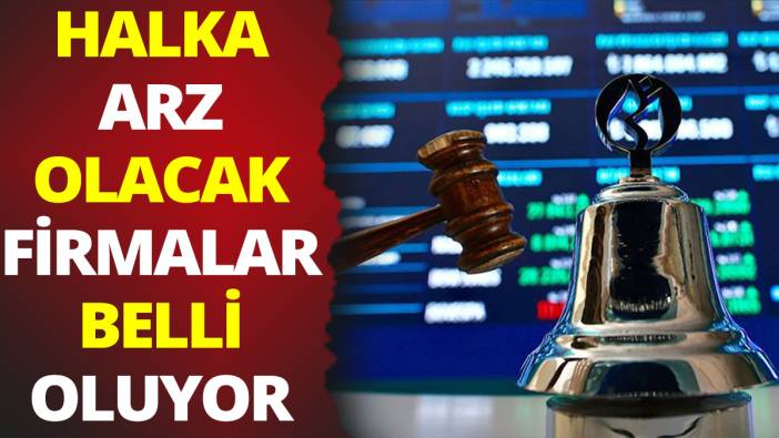 Halka arz olacak şirketler belli oluyor