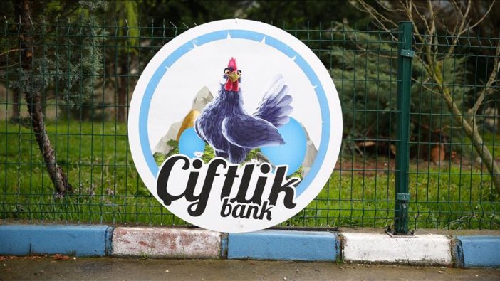 Denizli ve Manisa'da 'Çiftlik Bank' yöntemiyle dolandırıcılık