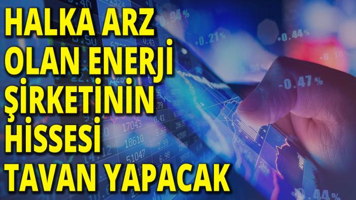 Halka arz olan enerji şirketinin hissesi tavan yapacak
