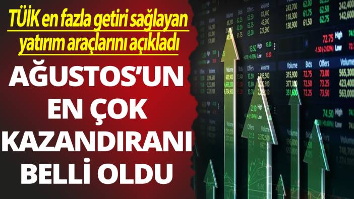 Ağustos'un en çok kazandıranı belli oldu! TÜİK en fazla getiri sağlayan yatırım araçlarını açıkladı