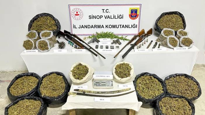 Sinop'ta uyuşturucu operasyonu: 1 gözaltı