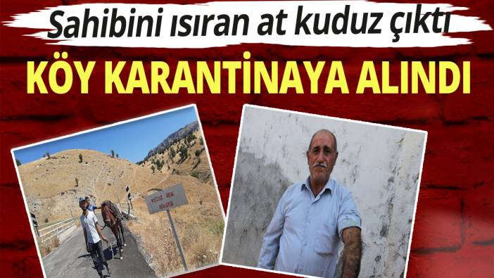 Sahibini ısıran at kuduz çıktı; Köy karantinaya alındı