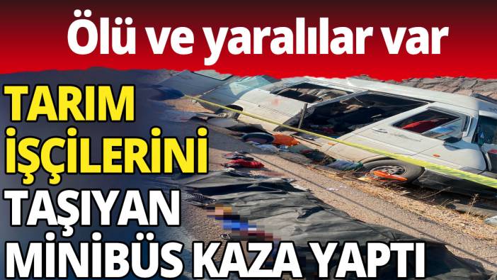 Şanlıurfa'da tarım işçilerini taşıyan minibüs devrildi: Ölü ve yaralılar var