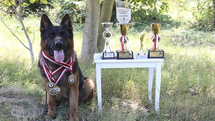 Hayatını köpeklerine adadı gözünü dünya şampiyonluğuna dikti