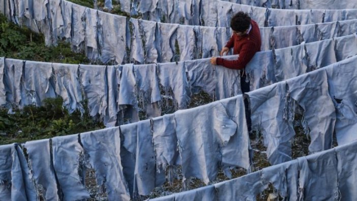 Geleneksel Zeytinburnu Fotoğraf  Yarışması’na başvurular başladı