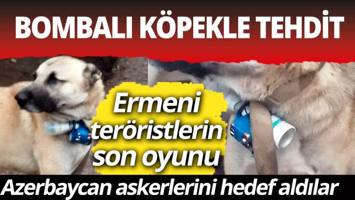 Ermeni teröristlerin son oyunu... Bombalı köpekle terör eylemi