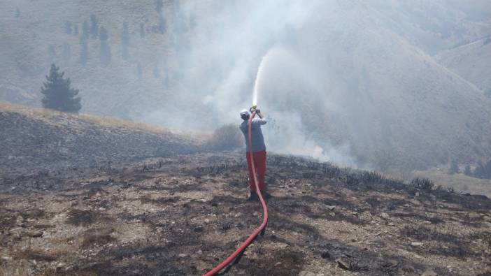 Isparta'daki orman yangınında 5 dekarlık alan zarar gördü