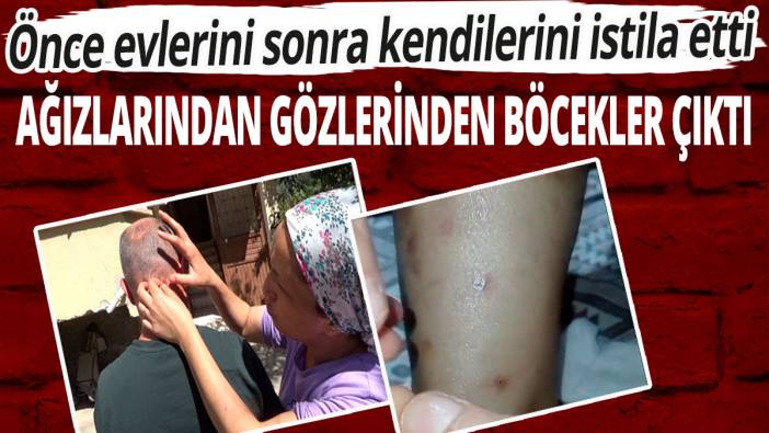 Önce evlerini sonra kendilerini istila etti: Ağızlarından gözlerinden böcek çıktı