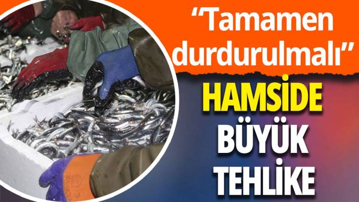 Hamside büyük tehlike: 'Tamamen durdurulmalı'