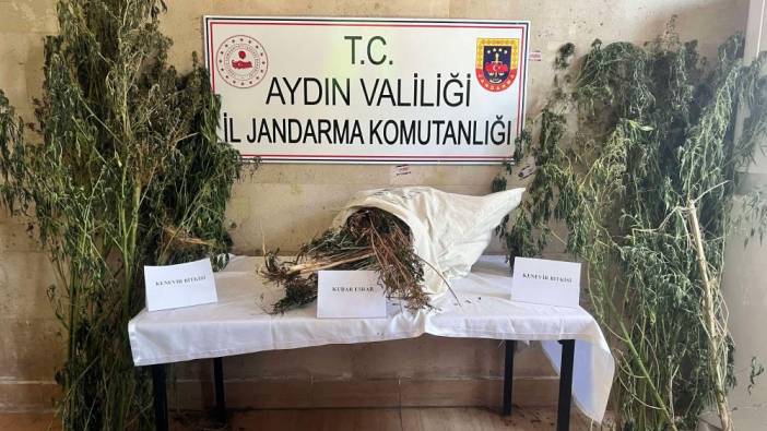 Aydın'da uyuşturucu operasyonu: 1 gözaltı