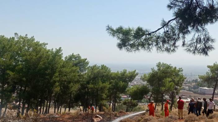 Hatay’da ormanlık alandaki örtü yangını söndürüldü