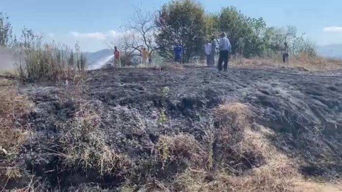 Zonguldak'ta fındık bahçesi cayır cayır yandı