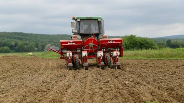 İBB’den ‘Milli Tarım Yerli Tohum Deneme Ekimleri’ projesi