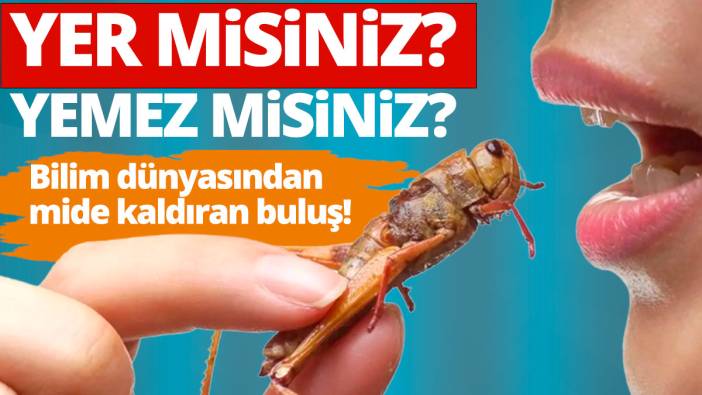 Bilim dünyasından mide kaldıran buluş... Yer misiniz?