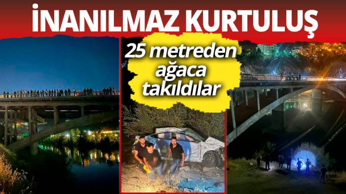 İnanılmaz kurtuluş! 25 metreden ağaca takıldılar