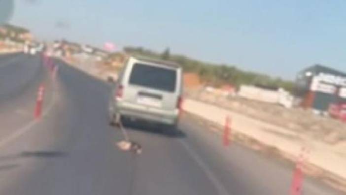 Gaziantep'te bir sürücü aracının arkasına bağladığı köpeği sürükledi