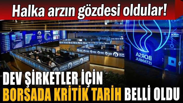Hat-San ve Reeder Teknoloji'nin borsada işlem görme tarihleri belli oldu