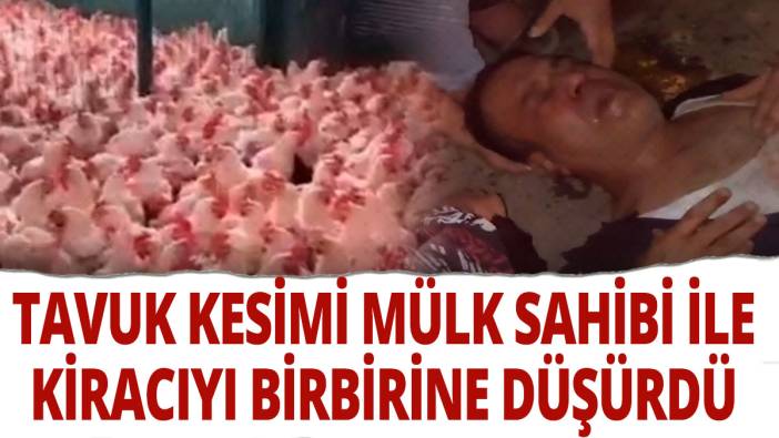 Tavuk kesimi, mülk sahibi ile kiracıyı birbirine düşürdü